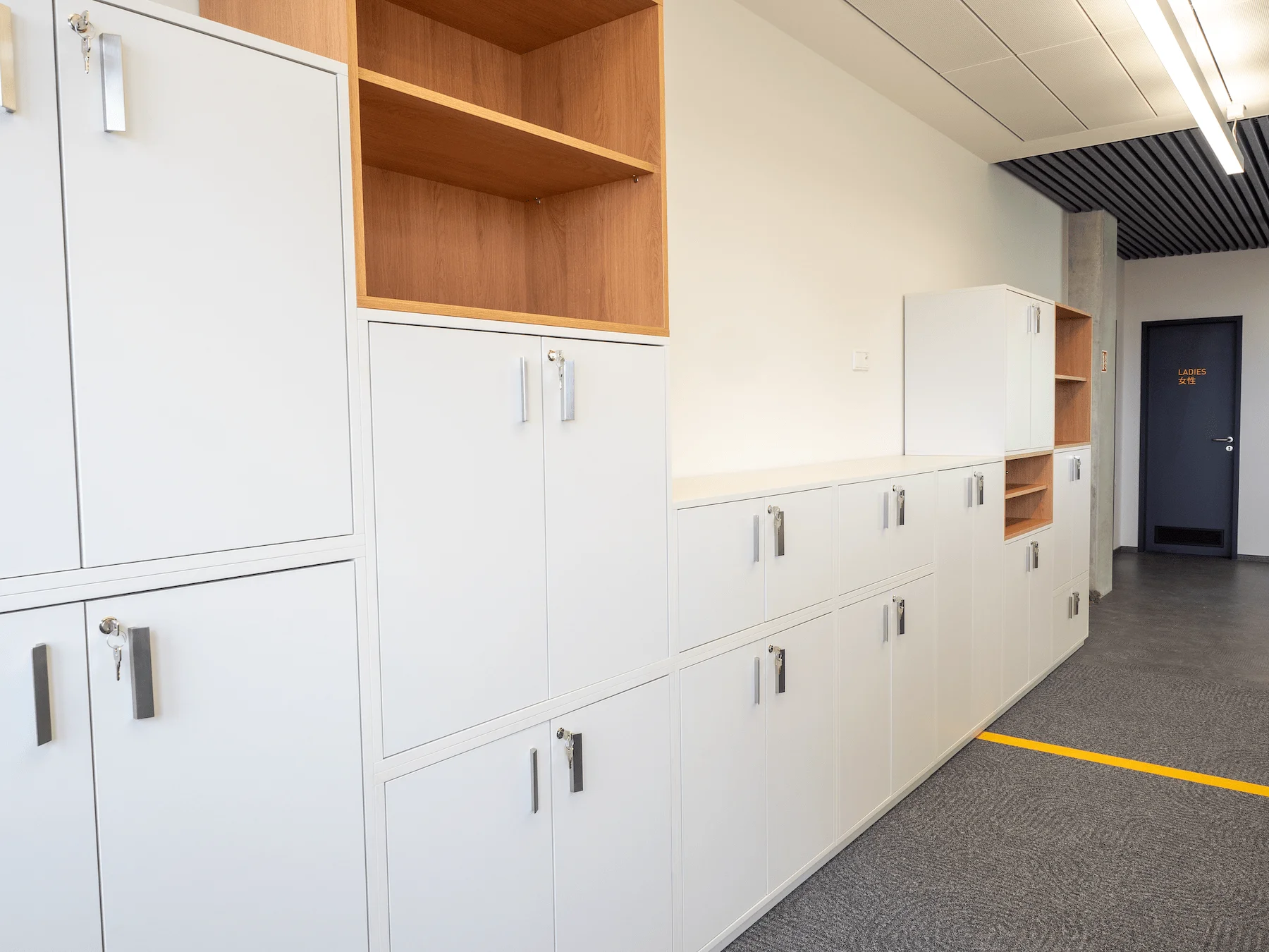 Úložné systémy a kancelářský nábytek FANUC Praha, fotografie 14